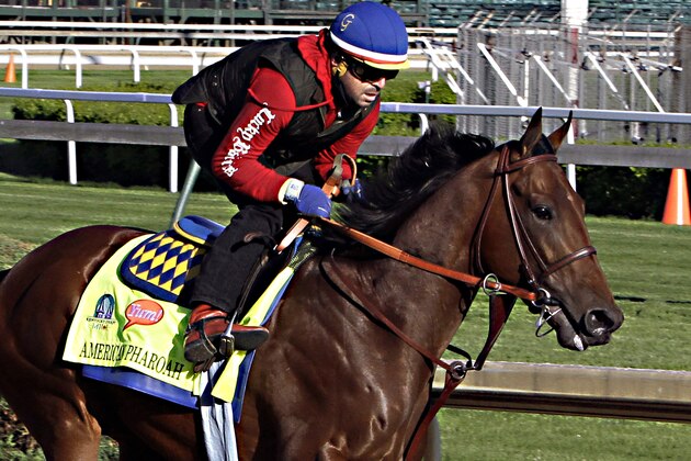 Kentucky Derby hopeful American Pharoah gallops under exercise rider Jorge Alvarez at Churchill Downs in Louisville, Ky., Thursday, April 23, 2015.  (AP Photo/Garry Jones)