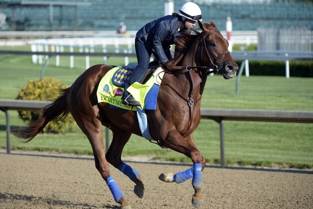 Apr 28, 2015; Louisville, KY, USA; Exercise rider Dana Barnes works out Kentucky Derby hopeful Dortmund at Churchill Downs. Mandatory Credit: Jamie Rhodes-USA TODAY Sports
