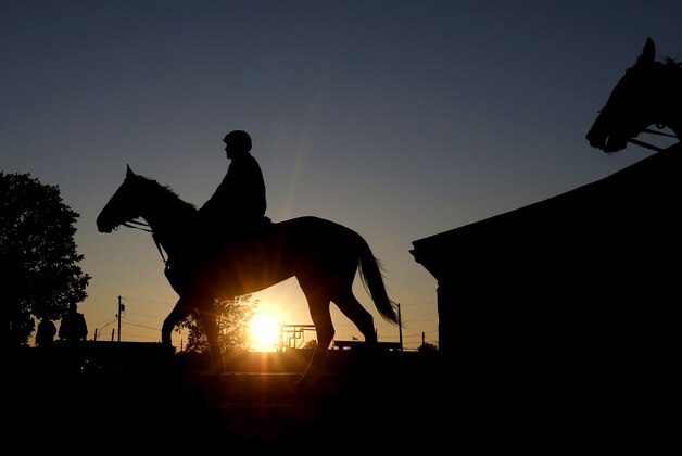 Horses head to the track for early morning workouts at Churchill Downs Tuesday, April 28, 2015, in Louisville, Ky. (AP Photo/Charlie Riedel) Horses head to the track for early morning workouts at Churchill Downs Tuesday, April 28, 2015, in Louisville, Ky. (AP Photo/Charlie Riedel)