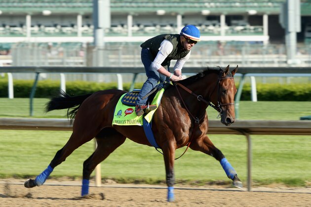 LOUISVILLE, KY - APRIL 29:  American Pharoah runs on the track during the morning training for the kentucky Derby at Churchill Downs on April 29, 2015 in Louisville, Kentucky.  (Photo by Andy Lyons/Getty Images)
