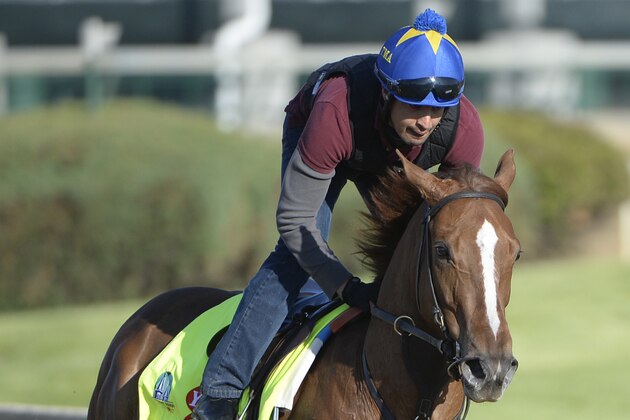 Apr 28, 2015; Louisville, KY, USA;  Exercise rider Dylan Davis works out Kentucky Derby hopeful War Story at Churchill Downs. Mandatory Credit: Jamie Rhodes-USA TODAY Sports