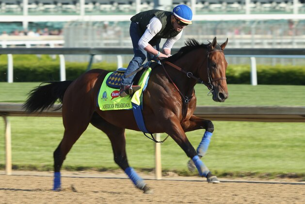 LOUISVILLE, KY - APRIL 29:  American Pharoah runs on the track during the morning training for the kentucky Derby at Churchill Downs on April 29, 2015 in Louisville, Kentucky.  (Photo by Andy Lyons/Getty Images)