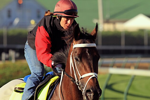 Kentucky Derby hopeful Mubtaahlj, ridden by exercise rider Lisa Moncrieff, gallops for the first time at Churchill Downs in Louisville, Ky., Tuesday, April 28, 2015.  (AP Photo/Garry Jones)