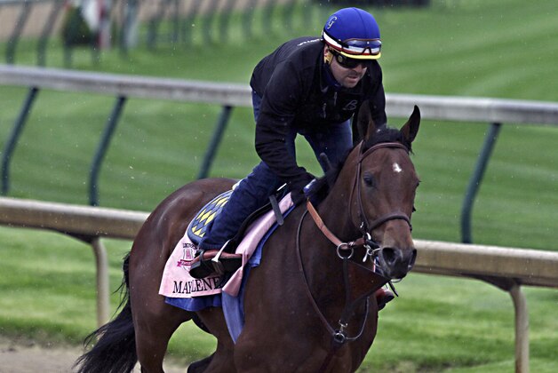Exercise rider Jorge Alvarez gallops Kentucky Oaks hopeful Maybellene for Hall of Fame trainer Bob Baffert at Churchill Downs in Louisville, Ky., Saturday, April 25, 2015.  (AP Photo/Garry Jones)
