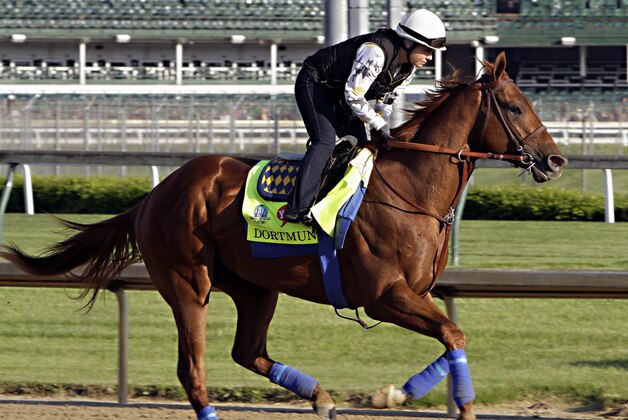 Kentucky Derby hopeful Dortmund gallops under exercise rider Dana Barnes at Churchill Downs in Louisville, Ky., Wednesday, April 29, 2015.  (AP Photo/Garry Jones)