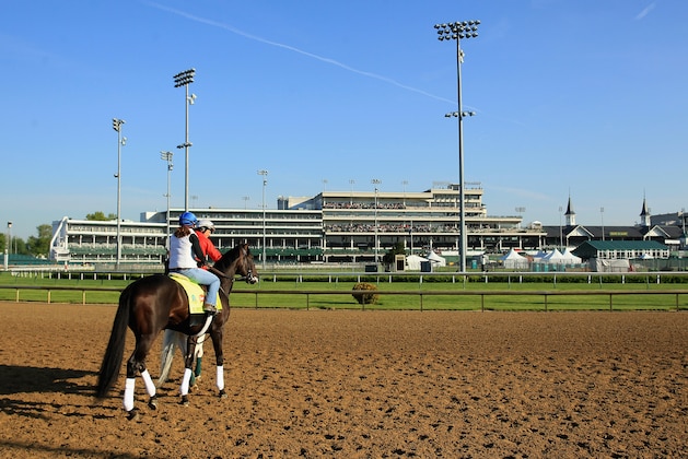 LOUISVILLE, KY - APRIL 29:  Upstart walks on the track during the morning training for the kentucky Derby at Churchill Downs on April 29, 2015 in Louisville, Kentucky.  (Photo by Andy Lyons/Getty Images)