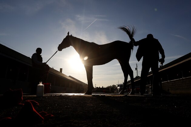 A horse gets a bath after a morning workout at Churchill Downs, Wednesday, April 29, 2015, in Louisville, Ky. (AP Photo/Charlie Riedel)
