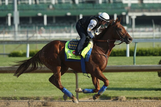 LOUISVILLE, KY - APRIL 29:  Dortmund runs on the track during the morning training for the kentucky Derby at Churchill Downs on April 29, 2015 in Louisville, Kentucky.  (Photo by Andy Lyons/Getty Images)
