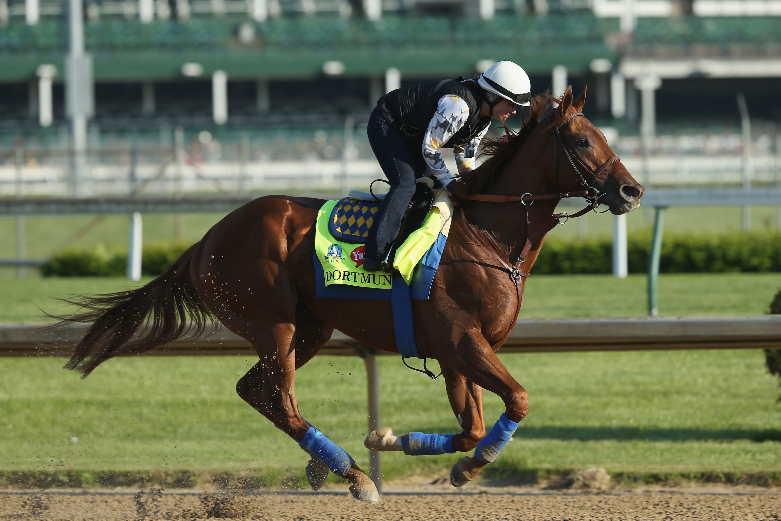 LOUISVILLE, KY - APRIL 29:  Dortmund runs on the track during the morning training for the kentucky Derby at Churchill Downs on April 29, 2015 in Louisville, Kentucky.  (Photo by Andy Lyons/Getty Images)