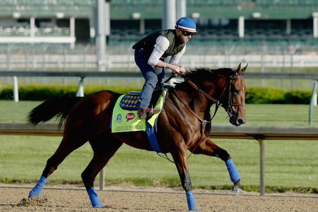 LOUISVILLE, KY - APRIL 29:  American Pharoah runs on the track during the morning training for the kentucky Derby at Churchill Downs on April 29, 2015 in Louisville, Kentucky.  (Photo by Andy Lyons/Getty Images)