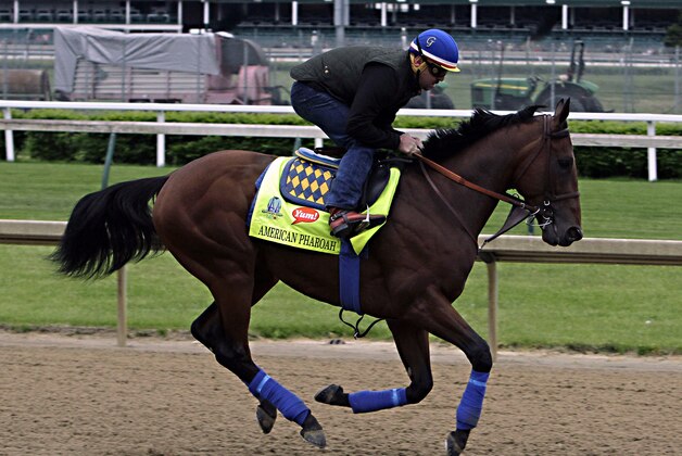 Kentucky Derby favorite American Pharoah, ridden by exercise rider Jorge Alvarez, gallops at Churchill Downs in Louisville, Ky., Thursday, April 30, 2015.  (AP Photo/Garry Jones)