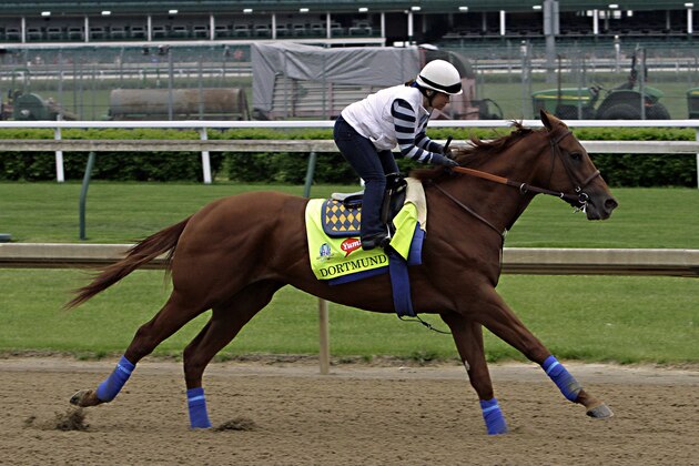Kentucky Derby entrant Dortmund, ridden by Dana Barnes, stretches his legs in a gallop at Churchill Downs in Louisville, Ky., Thursday, April 30, 2015.  (AP Photo/Garry Jones)