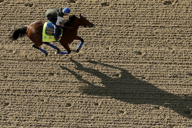 Exercise rider Jorge Alvarez rides Kentucky Derby hopeful American Pharoah during a workout at Churchill Downs Wednesday, April 29, 2015, in Louisville, Ky. (AP Photo/Charlie Riedel)