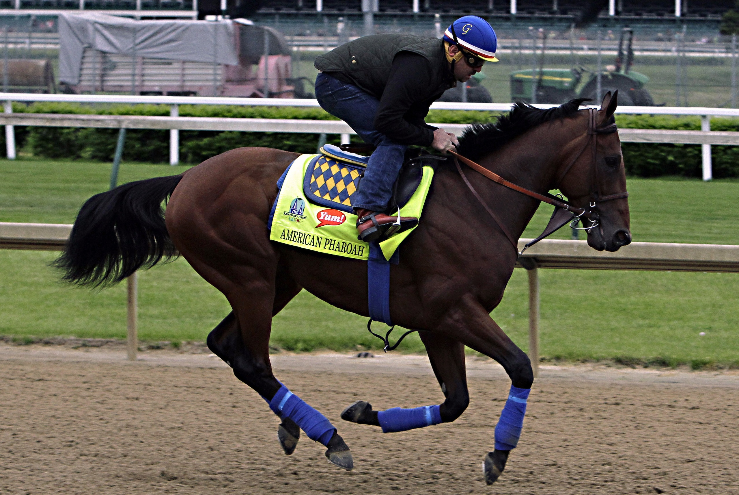 Kentucky Derby favorite American Pharoah, ridden by exercise rider Jorge Alvarez, gallops at Churchill Downs in Louisville, Ky., Thursday, April 30, 2015.  (AP Photo/Garry Jones)