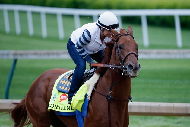 LOUISVILLE, KY - APRIL 30:  Dortmund goes over the track during morning training for the Kentucky Derby at Churchill Downs on April 30, 2015 in Louisville, Kentucky.  (Photo by Rob Carr/Getty Images)