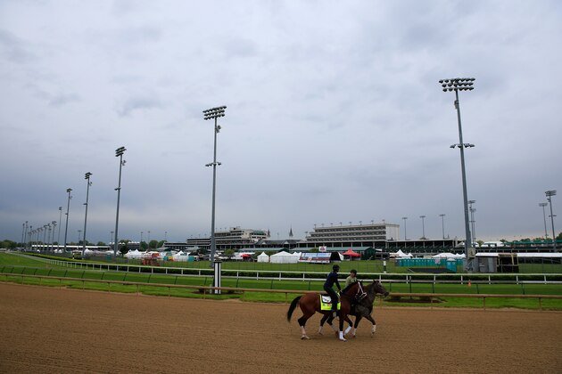 LOUISVILLE, KY - APRIL 30: Tencendur goes over the track during morning training for the Kentucky Derby at Churchill Downs on April 30, 2015 in Louisville, Kentucky.  (Photo by Rob Carr/Getty Images)
