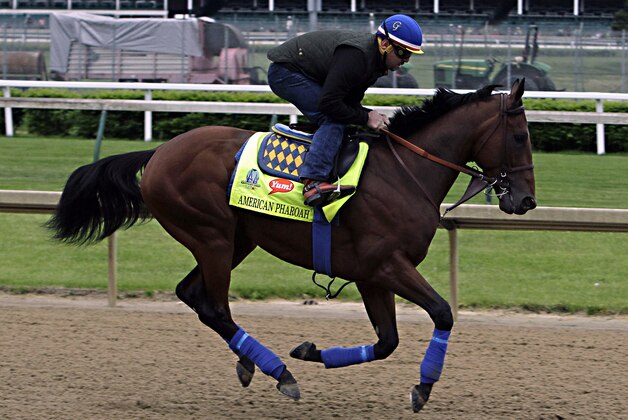Kentucky Derby favorite American Pharoah, ridden by exercise rider Jorge Alvarez, gallops at Churchill Downs in Louisville, Ky., Thursday, April 30, 2015.  (AP Photo/Garry Jones)