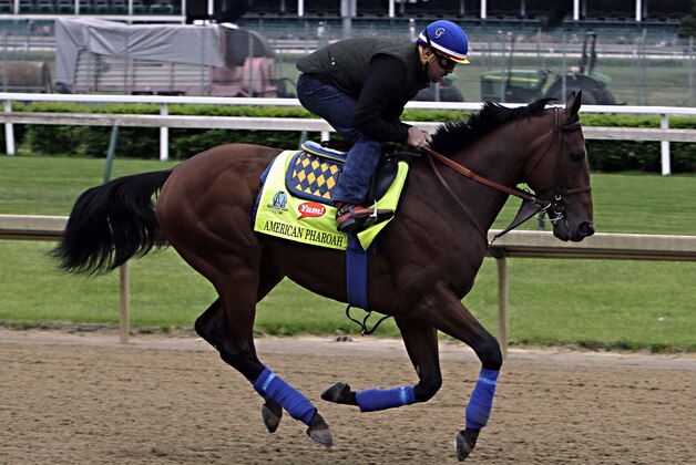 Kentucky Derby favorite American Pharoah, ridden by exercise rider Jorge Alvarez, gallops at Churchill Downs in Louisville, Ky., Thursday, April 30, 2015.  (AP Photo/Garry Jones)