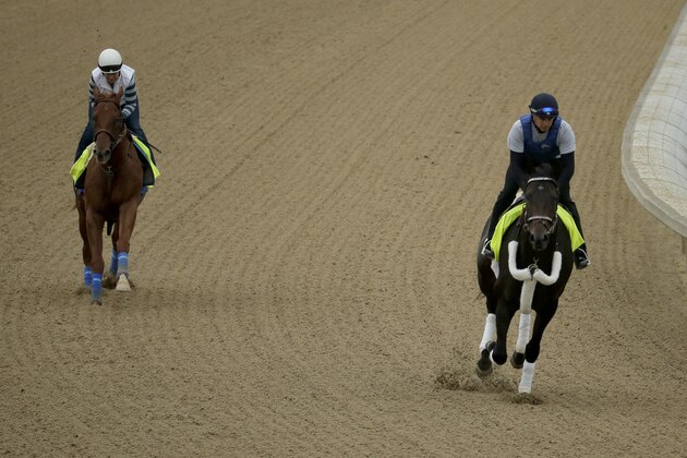 Exercise rider Tony Rubalcaba rides Kentucky Derby entrant Bolo, at right while Kentucky Derby entrant Dortmund is ridden by exercise rider Dana Barnes during a morning workout at Churchill Downs Thursday, April 30, 2015, in Louisville, Ky. (AP Photo/Charlie Riedel)