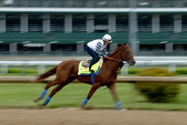 LOUISVILLE, KY - APRIL 30: Dortmund runs on the track during the morning training for the Kentucky Derby at Churchill Downs on April 30, 2015 in Louisville, Kentucky.  (Photo by Andy Lyons/Getty Images)