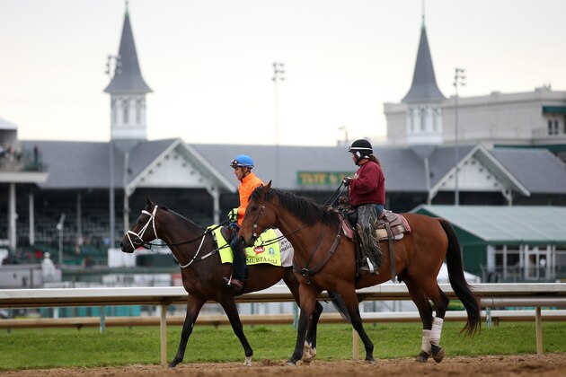 LOUISVILLE, KY - APRIL 30:  Mubtaahij goes over the track during morning training for the Kentucky Derby at Churchill Downs on April 30, 2015 in Louisville, Kentucky.  (Photo by Chris Graythen/Getty Images)