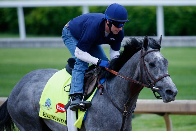 LOUISVILLE, KY - APRIL 30: El Kabeir goes over the track during morning training for the Kentucky Derby at Churchill Downs on April 30, 2015 in Louisville, Kentucky.  (Photo by Rob Carr/Getty Images)