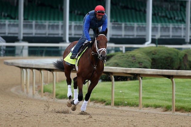 LOUISVILLE, KY - APRIL 30:  Itsaknockout goes over the track during morning training for the Kentucky Derby at Churchill Downs on April 30, 2015 in Louisville, Kentucky.  (Photo by Chris Graythen/Getty Images)
