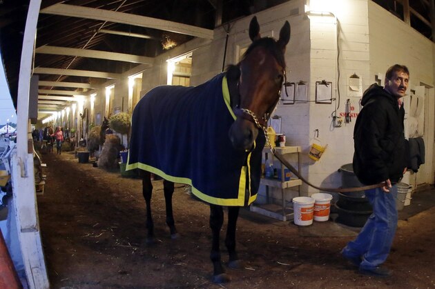 Kentucky Derby entrant American Pharoah is walked after a morning workout for the 141th running of the Kentucky Derby horse race at Churchill Downs Friday, May 1, 2015, in Louisville, Ky. (AP Photo/Darron Cummings)