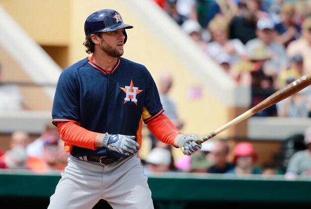 Mar 8, 2015; Lakeland, FL, USA; Houston Astros right fielder Jake Marisnick (6) at bat against the Detroit Tigers at a spring training baseball game at Joker Marchant Stadium. Mandatory Credit: Kim Klement-USA TODAY Sports