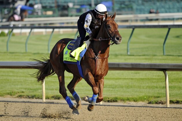 Apr 29, 2015; Louisville, KY, USA; Exercise rider Dana Barnes works out Kentucky Derby hopeful Dortmund trained by Bob Baffert at Churchill Downs. Mandatory Credit: Jamie Rhodes-USA TODAY Sports