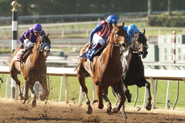 In this image provided by Benoit Photo, Dortmund, center,with Martin Garcia aboard, wins the Grade II $400,000 San Felipe Stakes horse race Saturday, March 7, 2015, at Santa Anita in Arcadia, Calif. (AP Photo/Benoit Photo)