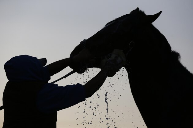 A horse gets a bath after a morning workout at Churchill Downs Friday, May 1, 2015, in Louisville, Ky. (AP Photo/Charlie Riedel)