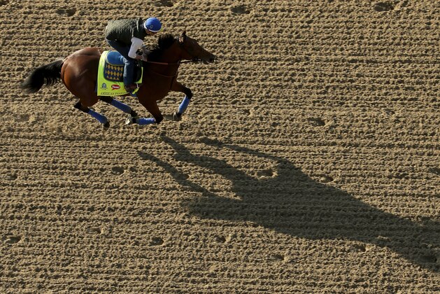 Exercise rider Jorge Alvarez rides Kentucky Derby hopeful American Pharoah during a workout at Churchill Downs Wednesday, April 29, 2015, in Louisville, Ky. (AP Photo/Charlie Riedel)