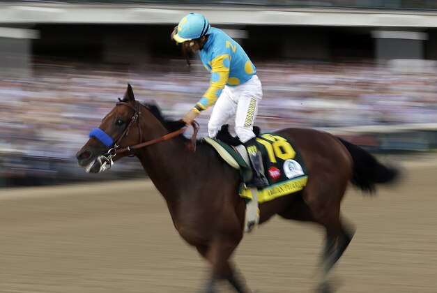 Victor Espinoza rides American Pharoah to victory in the 141st running of the Kentucky Derby horse race at Churchill Downs Saturday, May 2, 2015, in Louisville, Ky. (AP Photo/Tim Donnelly)