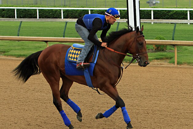 Kentucky Derby winner American Pharoah, ridden by regular exercise rider Jorge Alvarez, gallops at Churchill Downs in Louisville, Ky., Sunday, May 10, 2015. American Pharoah will ship to Baltimore on Wednesday to run in the Preakness Stakes on May 16.  (AP Photo/Garry Jones)
