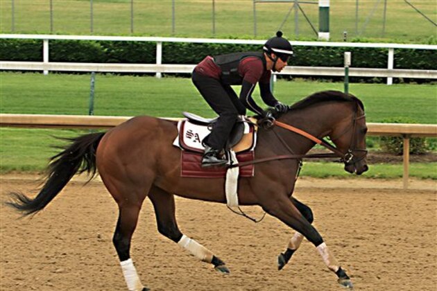 Exercise rider Umberto Gomez gallops Kentucky Derby runner-up Firing LIne at Churchill Downs in Louisville, Ky., Sunday, May 10, 2015. Firing Line will ship to Baltimore on Wednesday to run in the 140th Preakness Stakes on May 16.  (AP Photo/Garry Jones)