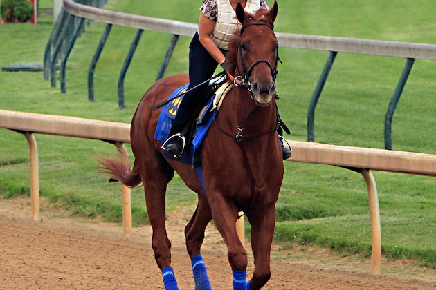 Kentucky Derby third-place finisher Dortmund, with regular exercise rider Dana Barnes aboard, gallops at Churchill Downs in Louisville, Ky., Sunday, May 10, 2015. Dortmund and stablemate, Kentucky Derby winner American Pharoah, will ship to Baltimore for the Preakness Stakes on May 16.  (AP Photo/Garry Jones)