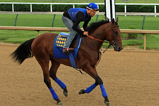 Kentucky Derby winner American Pharoah, ridden by regular exercise rider Jorge Alvarez, gallops at Churchill Downs in Louisville, Ky., Sunday, May 10, 2015. American Pharoah will ship to Baltimore on Wednesday to run in the Preakness Stakes on May 16.  (AP Photo/Garry Jones)