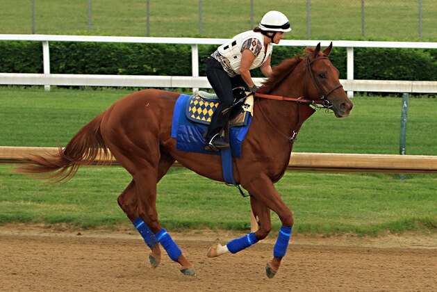 Kentucky Derby third-place finisher Dortmund, with regular exercise rider Dana Barnes aboard, gallops at Churchill Downs in Louisville, Ky., Sunday, May 10, 2015. Dortmund and stablemate, Kentucky Derby winner American Pharoah, will ship to Baltimore for the Preakness Stakes on May 16.  (AP Photo/Garry Jones)