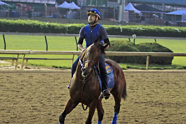 Exercise rider Jorge Alvarez jogs Kentucky Derby winner American Pharoah the wrong way around the track at Churchill Downs in Louisville, Ky., Thursday, May 7, 2015. American Pharoah is training at Churchill Downs before heading to Baltimore for The Preakness Stakes next week.  (AP Photo/Garry Jones)