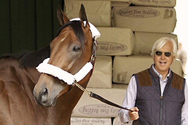 Kentucky Derby winner American Pharoah is held by trainer Bob Baffert at the stakes barn at Pimlico Race Course in Baltimore, Wednesday, May 13, 2015. The Preakness Stakes horse race is Saturday, May 16.(AP Photo/Garry Jones)