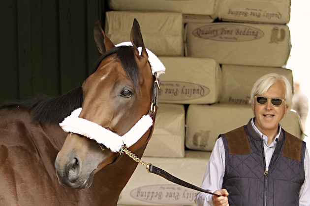 Kentucky Derby winner American Pharoah is held by trainer Bob Baffert at the stakes barn at Pimlico Race Course in Baltimore, Wednesday, May 13, 2015. The Preakness Stakes horse race is Saturday, May 16.(AP Photo/Garry Jones)