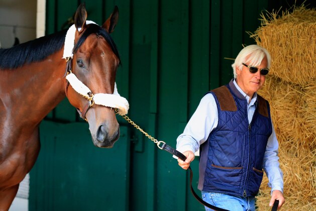 BALTIMORE, MD - MAY 13:  Trainer Bob Baffert walks Kentucky Derby winner American Pharoah in the barn after arriving in preparation for the 140th Preakness Stakes at Pimlico Race Course on May 13, 2015 in Baltimore, Maryland.  (Photo by Rob Carr/Getty Images)