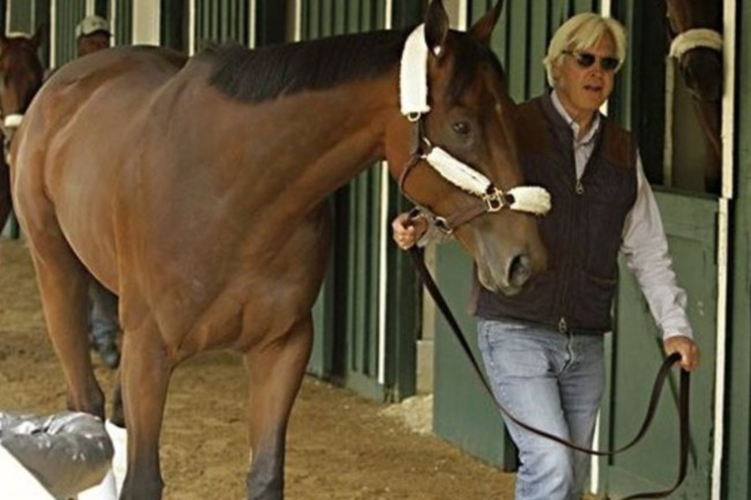 Kentucky Derby winner American Pharoah is held by trainer Bob Baffert at the stakes barn at Pimlico Race Course in Baltimore, Wednesday, May 13, 2015. The Preakness Stakes horse race is Saturday, May 16.(AP Photo/Garry Jones)