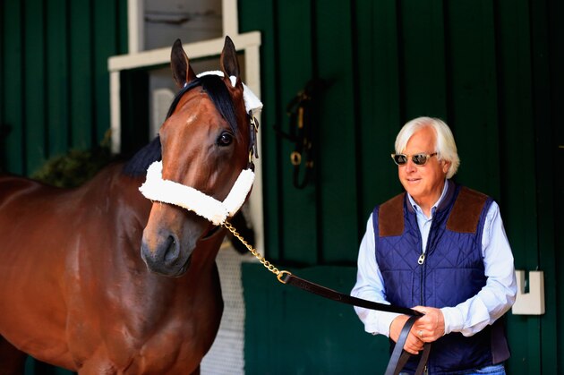 BALTIMORE, MD - MAY 13:  Trainer Bob Baffert walks Kentucky Derby winner American Pharoah in the barn after arriving in preparation for the 140th Preakness Stakes at Pimlico Race Course on May 13, 2015 in Baltimore, Maryland.  (Photo by Rob Carr/Getty Images)