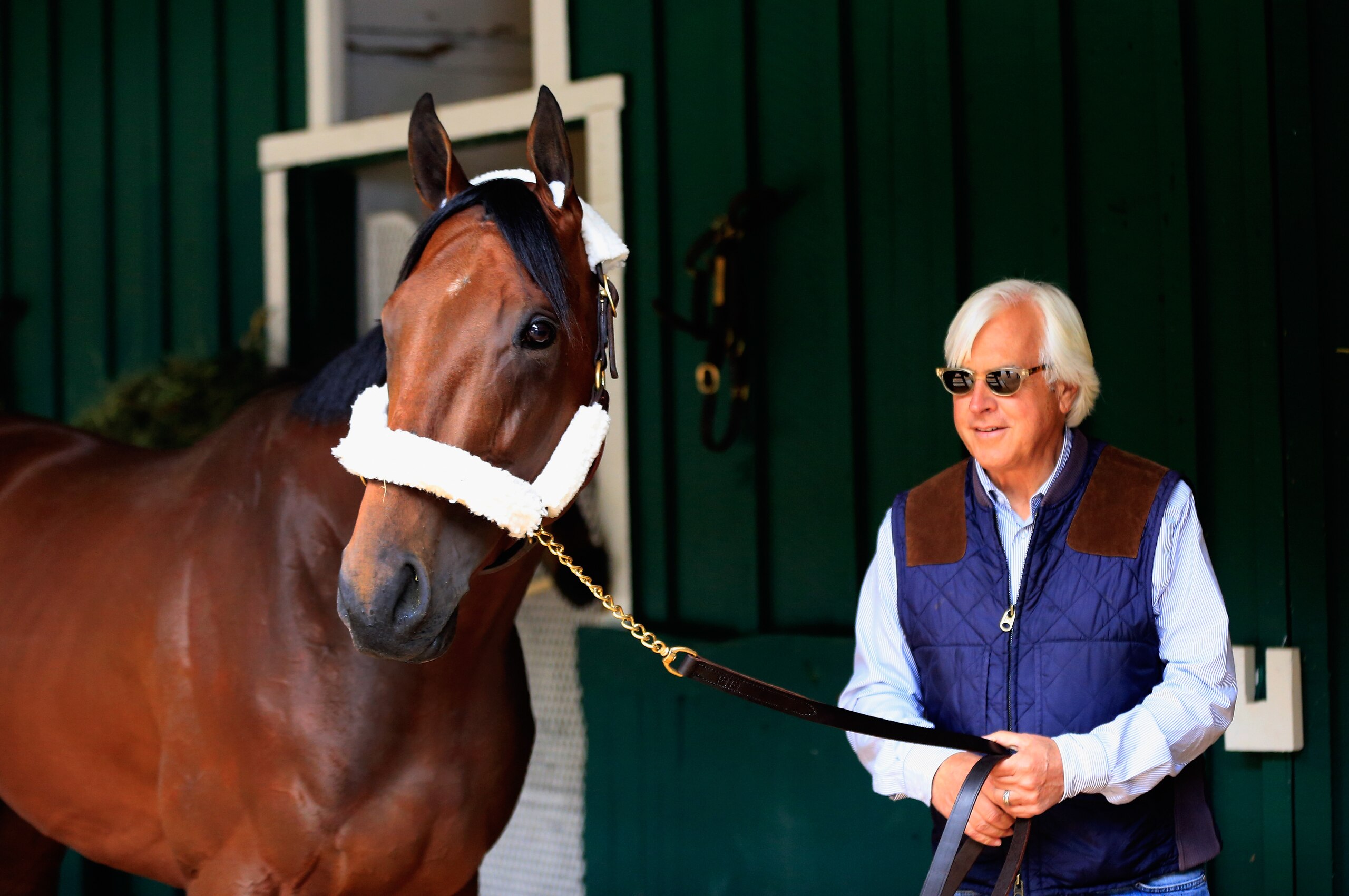 BALTIMORE, MD - MAY 13:  Trainer Bob Baffert walks Kentucky Derby winner American Pharoah in the barn after arriving in preparation for the 140th Preakness Stakes at Pimlico Race Course on May 13, 2015 in Baltimore, Maryland.  (Photo by Rob Carr/Getty Images)