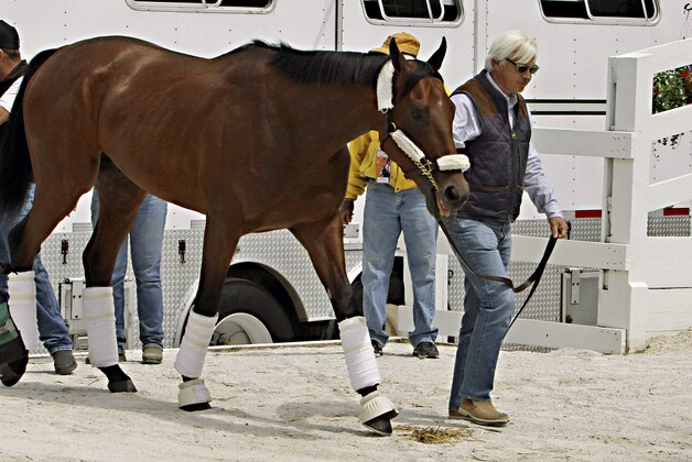 Hall of Fame trainer Bob Baffert leads Kentucky Derby winner American Pharoah off the van at Pimlico Race Course in Baltimore, Wednesday, May 13, 2015.  The Preakness Stakes horse race is Saturday, May 16.(AP Photo/Garry Jones)