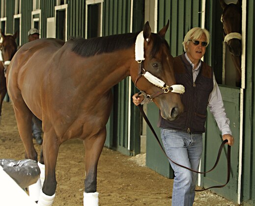 Kentucky Derby winner American Pharoah is held by trainer Bob Baffert at the stakes barn at Pimlico Race Course in Baltimore, Wednesday, May 13, 2015. The Preakness Stakes horse race is Saturday, May 16.(AP Photo/Garry Jones)