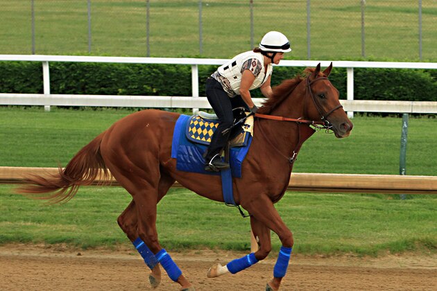 Kentucky Derby third-place finisher Dortmund, with regular exercise rider Dana Barnes aboard, gallops at Churchill Downs in Louisville, Ky., Sunday, May 10, 2015. Dortmund and stablemate, Kentucky Derby winner American Pharoah, will ship to Baltimore for the Preakness Stakes on May 16.  (AP Photo/Garry Jones)