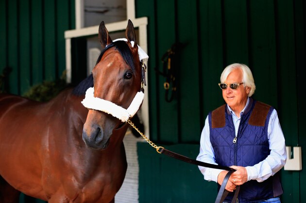 BALTIMORE, MD - MAY 13:  Trainer Bob Baffert walks Kentucky Derby winner American Pharoah in the barn after arriving in preparation for the 140th Preakness Stakes at Pimlico Race Course on May 13, 2015 in Baltimore, Maryland.  (Photo by Rob Carr/Getty Images)